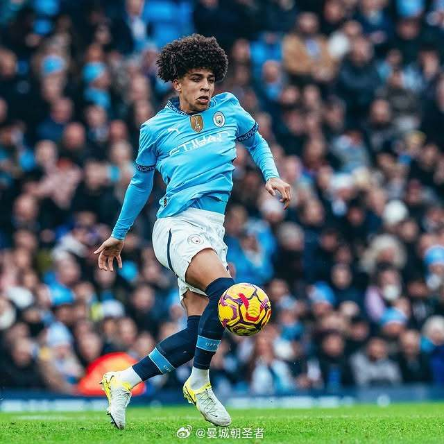 区特有挑战 区特有挑战